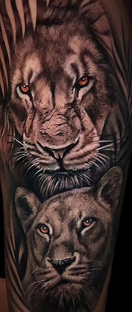 tatuaje de leon realista